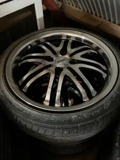 DHD DNA 6'1