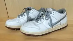 希少 NIKE ナイキ Dunk Low ダンク GOLF ゴルフ26cm レア - メルカリ
