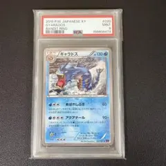 2026年最新】ギャラドス psa10の人気アイテム - メルカリ