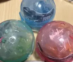 ポケモン カプセルアクト 三色の光彩 全3種セット ガチャ カプセルトイ