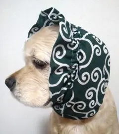 アメコカ　コッカー　スヌード　犬服　アメリカンコッカースパニエル