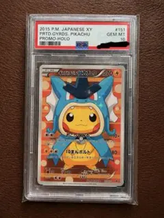 【盗難防止・展示用】ポケモンカード ギャラドスごっこピカチュウのサムネイル
