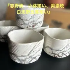 2026年最新】志野 小鉢の人気アイテム - メルカリ