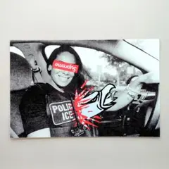 SUPREME ANTIHERO ICE STICKER