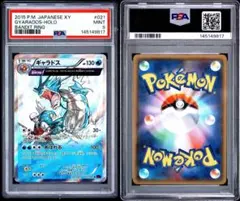 PSA10/希少】時空のゆがみ 世界に225枚 ポケモンカード - メルカリ