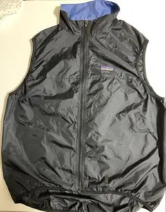 希少★レアPatagonia ナイロンベスト ブラック Lサイズ