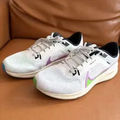 ナイキ ペガサス 40 SE 27.0