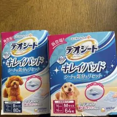 Item thumbnail for item a9549884-0924-46ee-bd09-9e6081f80127