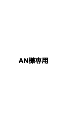 AN様専用