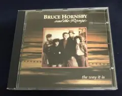 Bruce Hornsby & the Range -the way it is