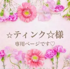 ☆ティンク☆様　専用ページ