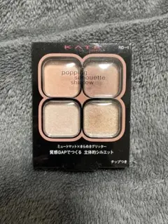 KATE ポッピングシルエットシャドウ RD-1