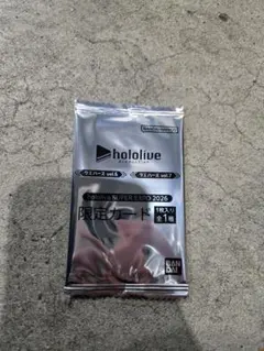 ホロライブ　EXPO 会場配布　会場限定ウエハースカード