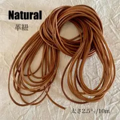 Item thumbnail for item 61275373-79b0-4671-9d84-4ae969f89dbb