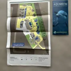 Item thumbnail for item 00751726-2fb9-4933-932a-fbbe6fdae11b