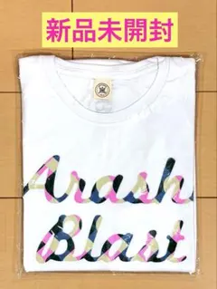 Item thumbnail for item e8839f95-e527-46d8-8b60-b71bfc917ca0