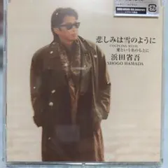 浜田省吾 CD 悲しみは雪のように - メルカリ