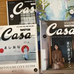 Casa BRUTUS 2024年4月号 増刊 春の京都の舞妓さん - メルカリ