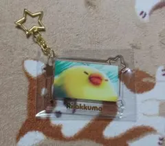 ✻ リラックマ エニマイくじ F賞 箔押しアクリルキーホルダー キイロイトリ ✻