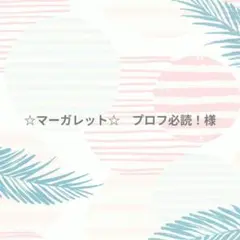 【☆マーガレット☆　プロフ必読！】様専用