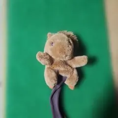 Item thumbnail for item 4104c231-c561-42ab-affd-329565b671a8