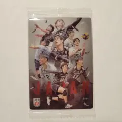 バレーボール ツインウエハース 集合 スペシャル