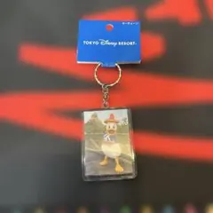 東京ディズニーリゾート ドナルドダック キーホルダー