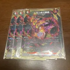 バラドヴィナシューラ　即購入歓迎 楽天市場】一王二命の通販