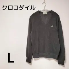 【クロコダイル】ワンポイント刺繍　Ｖネック薄手ニット　セーター　L 1261