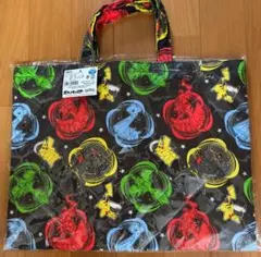 ポケモン　入園入学レッスンバッグ　絵本バッグ
