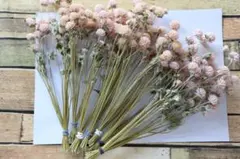 Item thumbnail for item 7e12565b-236d-40f8-86d2-fd4393d10d0d