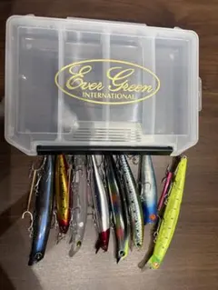 シーバスルアー引退セット シーバス引退 ルアーセット - メルカリ