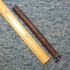 Item thumbnail for item 90aee2a6-c5b0-488f-9cc9-a1bdd5421134