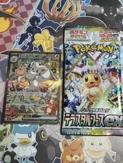 ポケモンカード　チラチーノex SAR （テラスタルフェスexバラパック付き）