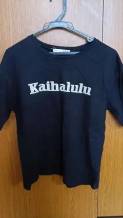 Tシャツ ブラック フリーサイズ　earth