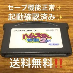 ハムスター物語2GBA DSでも学べます✨