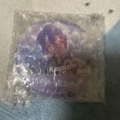 Item thumbnail for item f0d05e25-01a3-4888-98ce-79a2189e62a8