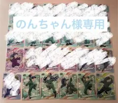 のんちゃん様専用品(6枚)