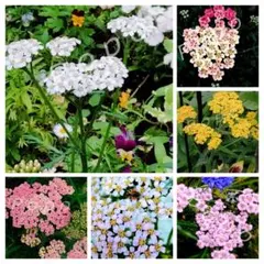 nuts様 リクエスト 3点 まとめ商品