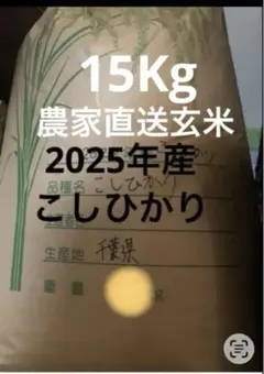 令和7年千葉県産 こしひかり 玄米　高品質混ざりなし　15Kgのサムネイル