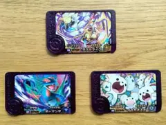 ポケモンフレンダスーパートレジャー5弾 タケルライコ　ボーマンダ　イッカネズミ