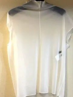 Item thumbnail for item 29506faf-6233-4f94-8c7e-31c2aadbba14