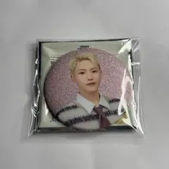 SEVENTEEN holiday ペンミ 缶バッジ ホシ