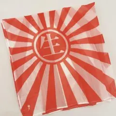 Item thumbnail for item 1c96bf7f-f2d3-4af2-92d8-085ef661c7f5