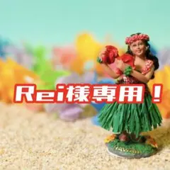 Rei様専用！省スペース、一人暮らしにちょうどいい♪全自動洗濯機5.5kg