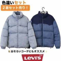 2026年最新】Levi