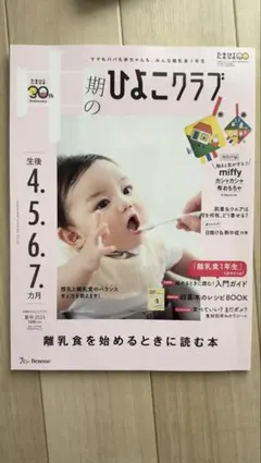 Item thumbnail for item 62a6758a-00a5-41e1-9edd-6537c13744d4