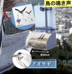 ① アオサギ 鳥の鳴き声　ソータ　SOTA