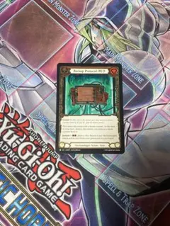 Backup Protocol: RED CF fab