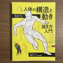 人体の構造と動き 描き方入門 人体を描くうえで重要なポイントを完全解説
